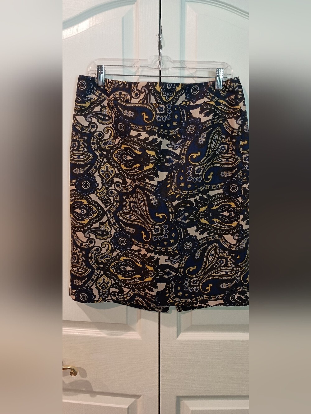 Ann Taylor Blue Floral Print Lined Skirt